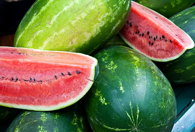 Watermelon for Hydration